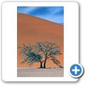 Sossusvlei - D&uuml;ne 45
