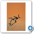 Sossusvlei - D&uuml;ne 45