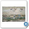Etosha Nationalpark - Paradieskranich, Schabrackenschakal und Springb&ouml;cke