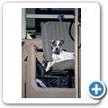 G&auml;stefarm "Okomitundu" - Autofahrt mit Hund
