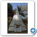 Kandy - Zahntempel