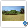 Royal Botanical Garden of Peradeniya