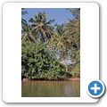Bentota River