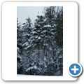 Fundy National Park