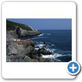Avalon Peninsula