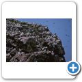 Witless Bay Ecological Reserve