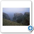 Avalon Peninsula - Cape St. Mary's - T&ouml;lpel-Kolonie