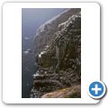 Avalon Peninsula - Cape St. Mary's - T&ouml;lpel-Kolonie