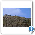 St. John's - Signal Hill