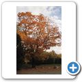 Herbstimpressionen