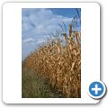 Herbstimpressionen