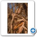 Herbstimpressionen