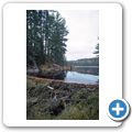 Algonquin Provincial Park - Beaver Pond Trail