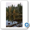 Algonquin Provincial Park - Beaver Pond Trail