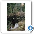 Algonquin Provincial Park - Hardwood Lookout Trail