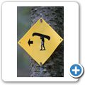 Algonquin Provincial Park - Hardwood Lookout Trail