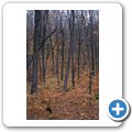Algonquin Provincial Park - Hardwood Lookout Trail