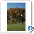 Picton - Birdhouse City