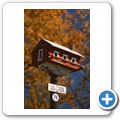 Picton - Birdhouse City