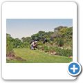 Kapstadt - Kirstenbosch National Botanical Garden