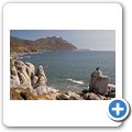 Chapman's Peak Drive - Bronzeleopard in Hout Bay