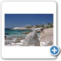 Pinguinkolonie am Boulders Beach