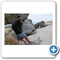 Pinguinkolonie am Boulders Beach