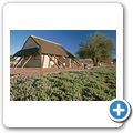 Kgalagadi Tranfrontier Park - Restcamp "Twee Revieren"