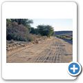 Kgalagadi Tranfrontier Park