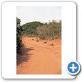 Addo Elephant National Park