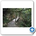 Tsitsikamma Coastal National Park - Mouth Trail