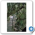 Tsitsikamma Coastal National Park - Mouth Trail