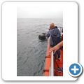 Hermanus - Whale Watching Tour