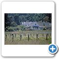 Franschhoek