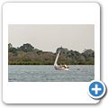 "Roots" Tour auf dem Gambia River
