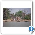 "Roots" Tour auf dem Gambia River