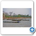 "Roots" Tour auf dem Gambia River