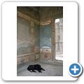 Die Ausgrabungen vom Pompeji - "Haus des J&auml;gers"