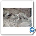 Die Ausgrabungen vom Pompeji - Leichen-Abg&uuml;sse