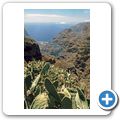 Parque Nacional de Garajonay