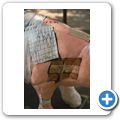 "Schwein gehabt" - Krankenhaus-Schwein