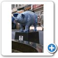 "Schwein gehabt"