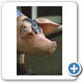"Schwein gehabt" - Bayern-Schwein