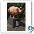 "Schwein gehabt" - Wieviel Kunst vertr&auml;gt ein Schwein