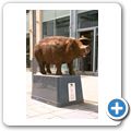 "Schwein gehabt"