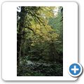 Goldstream Provincial Park