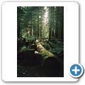 Goldstream Provincial Park