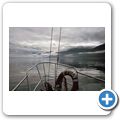 Whale-Watching mit dem Segelboot