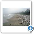 Pacific Rim National Park - Long Beach