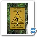 Pacific Rim National Park - Rainforrest Trail
